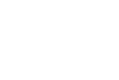 BIA — Blue Intelligence Assistant